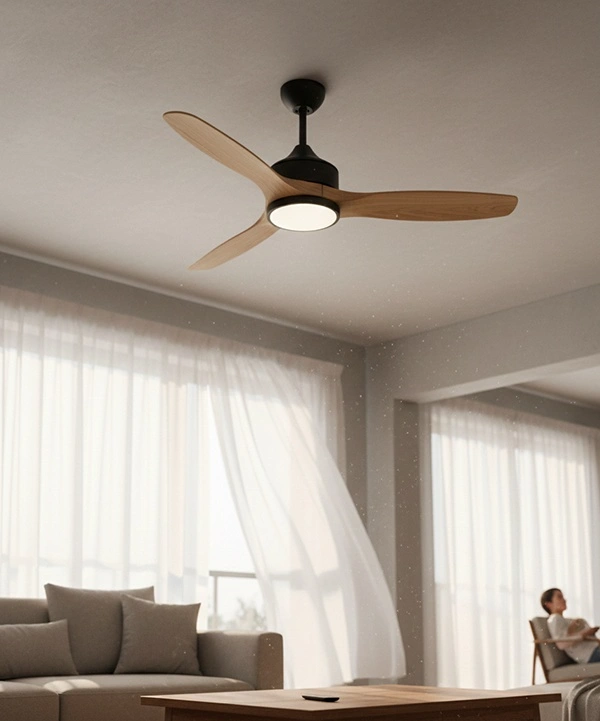 Fan & Ventilation